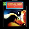 Silver Apples of the Moon